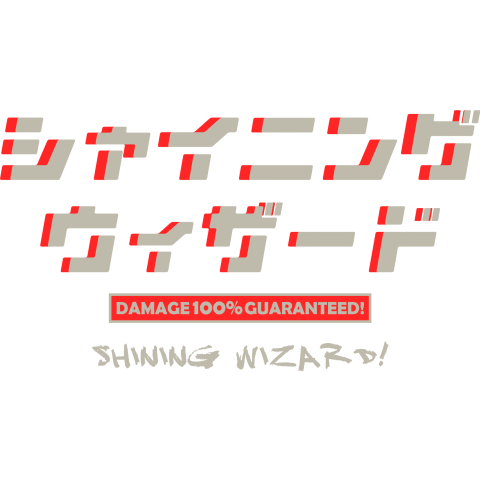 シャイニングウィザード「Damage 100% guaranteed!」プロレス技シリーズ4.6【Zipangu49er】