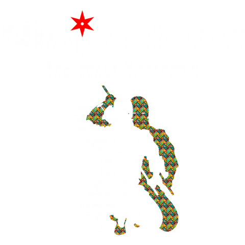 「Ninja blood in my vain -忍者の血が流れています-」白【Zipangu49er】外国人にうけるシリーズ1.5