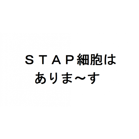 STAP細胞はありま～す