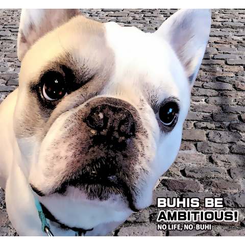 BUHIS BE AMBITIOUS!(トート)