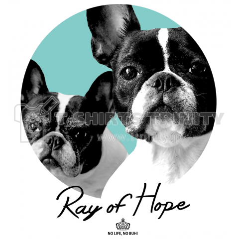 Ray of Hope(アイスグリーン)