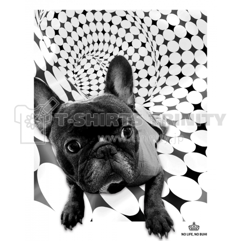 ワンダー!ワンダー!