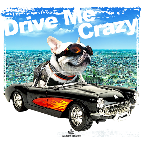 Drive Me Crazy(トート)