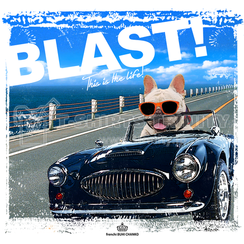 BLAST!(トート)