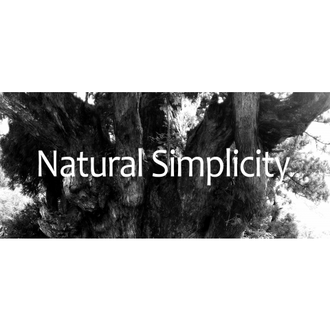 Natural Simplicity 樹