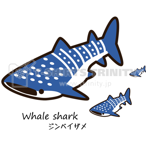 Whale Shark ジンベイザメ デザインtシャツ通販 Tシャツトリニティ