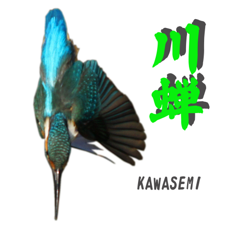 KAWASEMI T 43