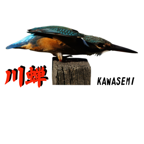 KAWASEMI T 49
