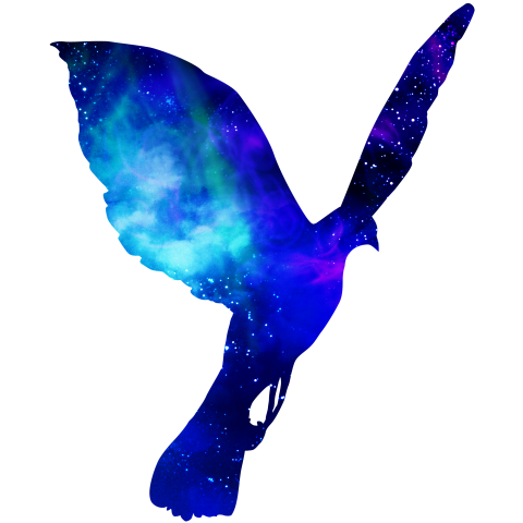 Space BIRD