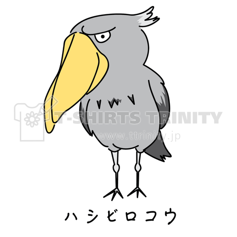 大きな鳥 ハシビロコウ