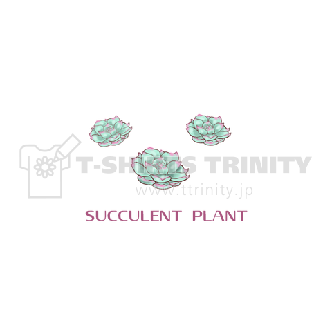 succulent plant