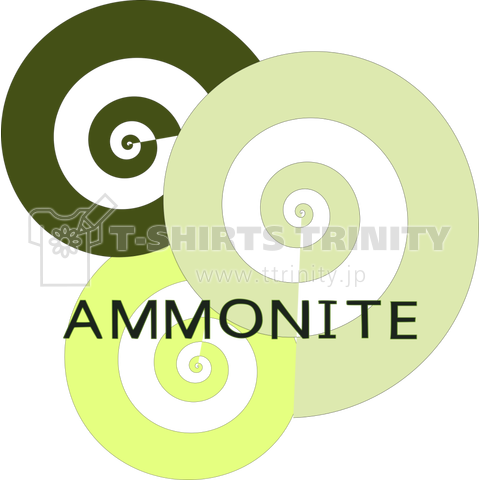 AMMONITE