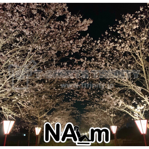 NAーm・夜桜道・