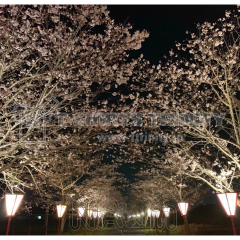 NAーm・夜桜道・透明ver