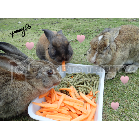 うさぎ Yummy 写真