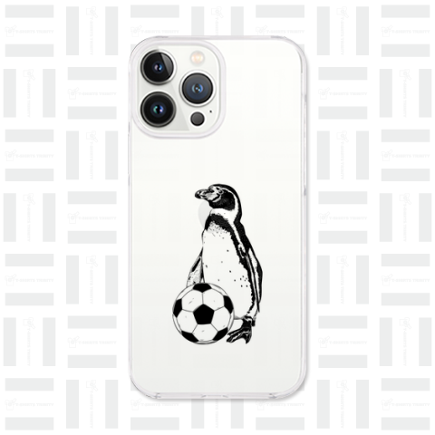 サッカーボールとフンボルトペンギン