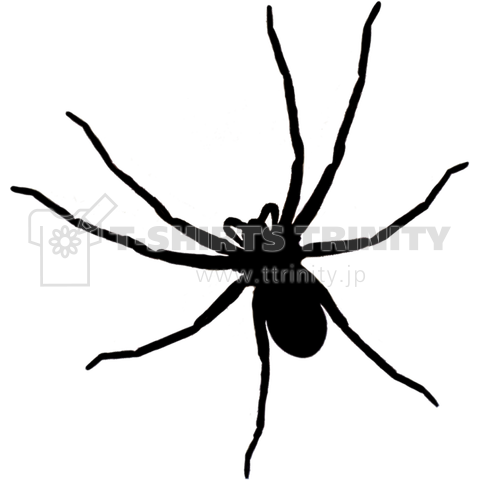 spider silhouette(小)