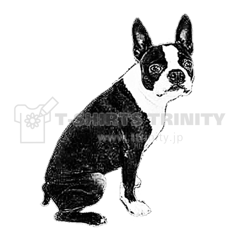 Boston Terrier ボストンテリア Nude デザインtシャツ通販 Tシャツトリニティ