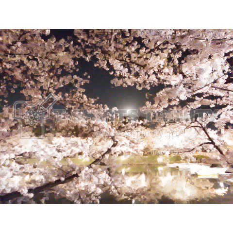 夜桜 イラスト 無料素材画像