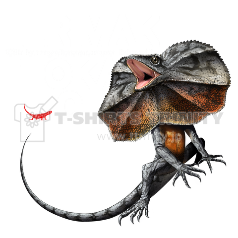 erimakitokageさん | www.fleettracktz.com