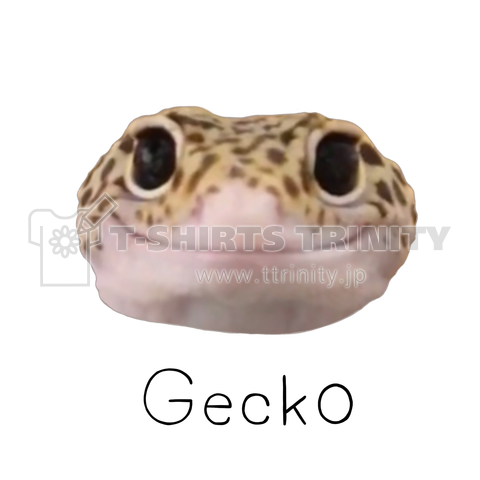 レオパ 笑顔 Gecko