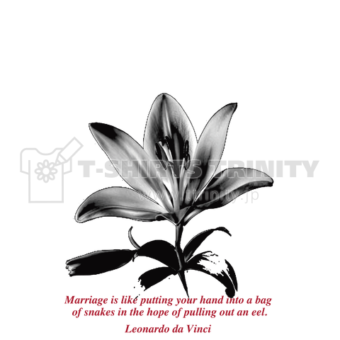 Black Is The Color Of My True Love's Hair【 da Vinci Lily 】