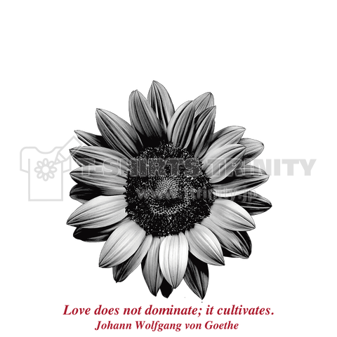 Black Is The Color Of My True Love's Hair【 Goethe Flower 】