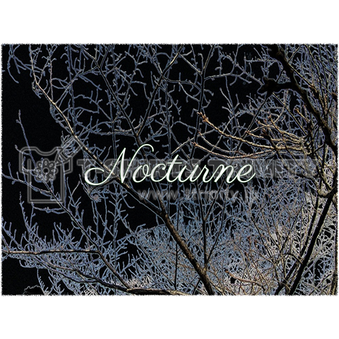 Nocturne