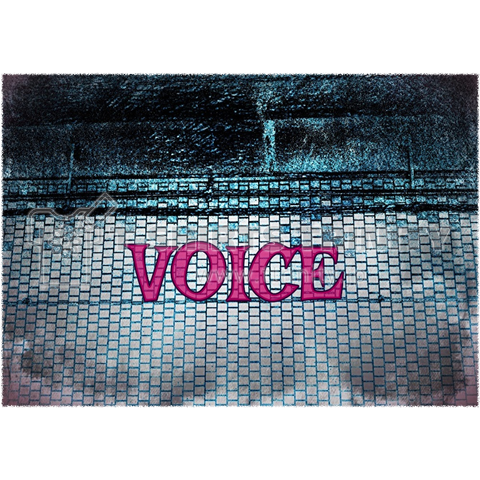 VOICE