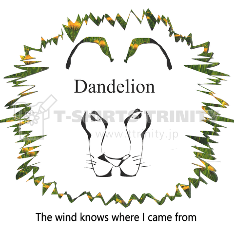 Dandelion2