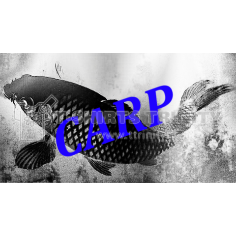 青いCARP(カスタマイズ可)