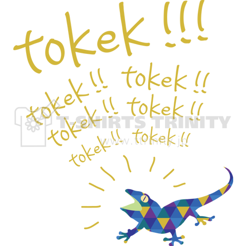 tokek!!(トッケー!)T