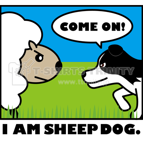 ボーダーコリー I AM SHEEP DOG!