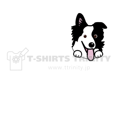 89channel パクちゃんねるロゴTシャツ youtube