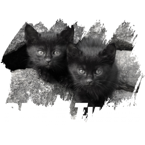 Black Twins