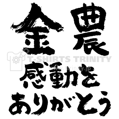 金農感動をありがとう(筆文字)