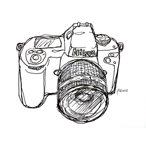 camera(Nikon)