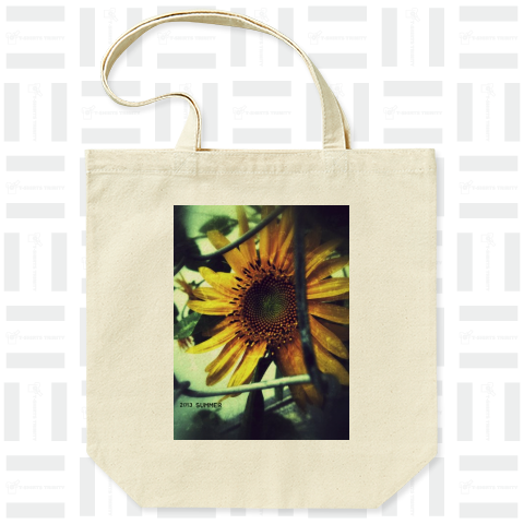2013 sunflower