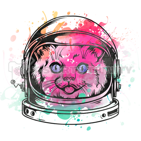 SPACE CAT