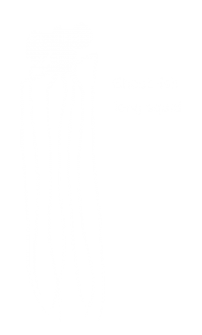 Ghost Ish Long Squid デザインtシャツ通販 Tシャツトリニティ
