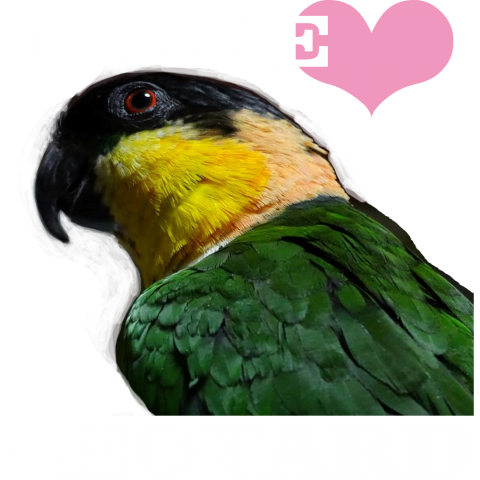 I LOVE LEOTARD 02