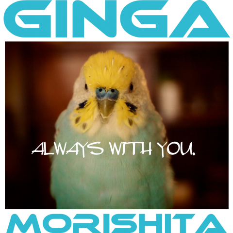 GINGA MORISHITA