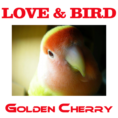 LOVE & BIRD(RED)