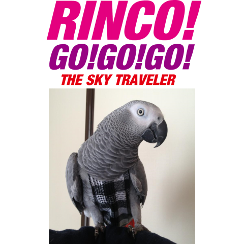 RINCO!GO!GO!GO!