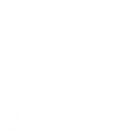 A POWER OF MUSIC