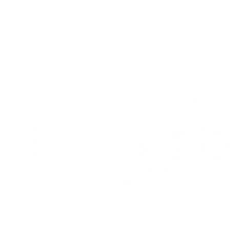 T​h​e​ ​t​h​e​o​r​y​ ​o​f​ ​e​v​o​l​u​t​i​o​n​(​自転車​)