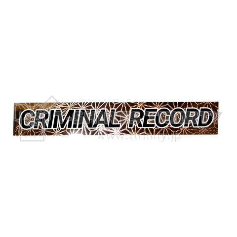 犯罪歴-CRIMINAL  RECORD-