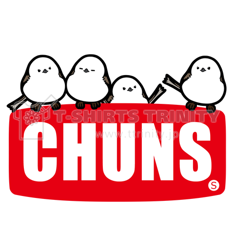 CHUNS-2.5