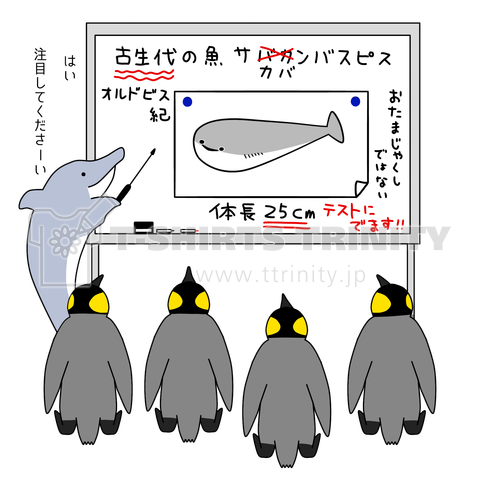 イルカ先生の授業/サカバンバスピス