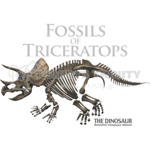 Fossils Of Triceratops トリケラトプスの化石 デザインtシャツ通販 Tシャツトリニティ